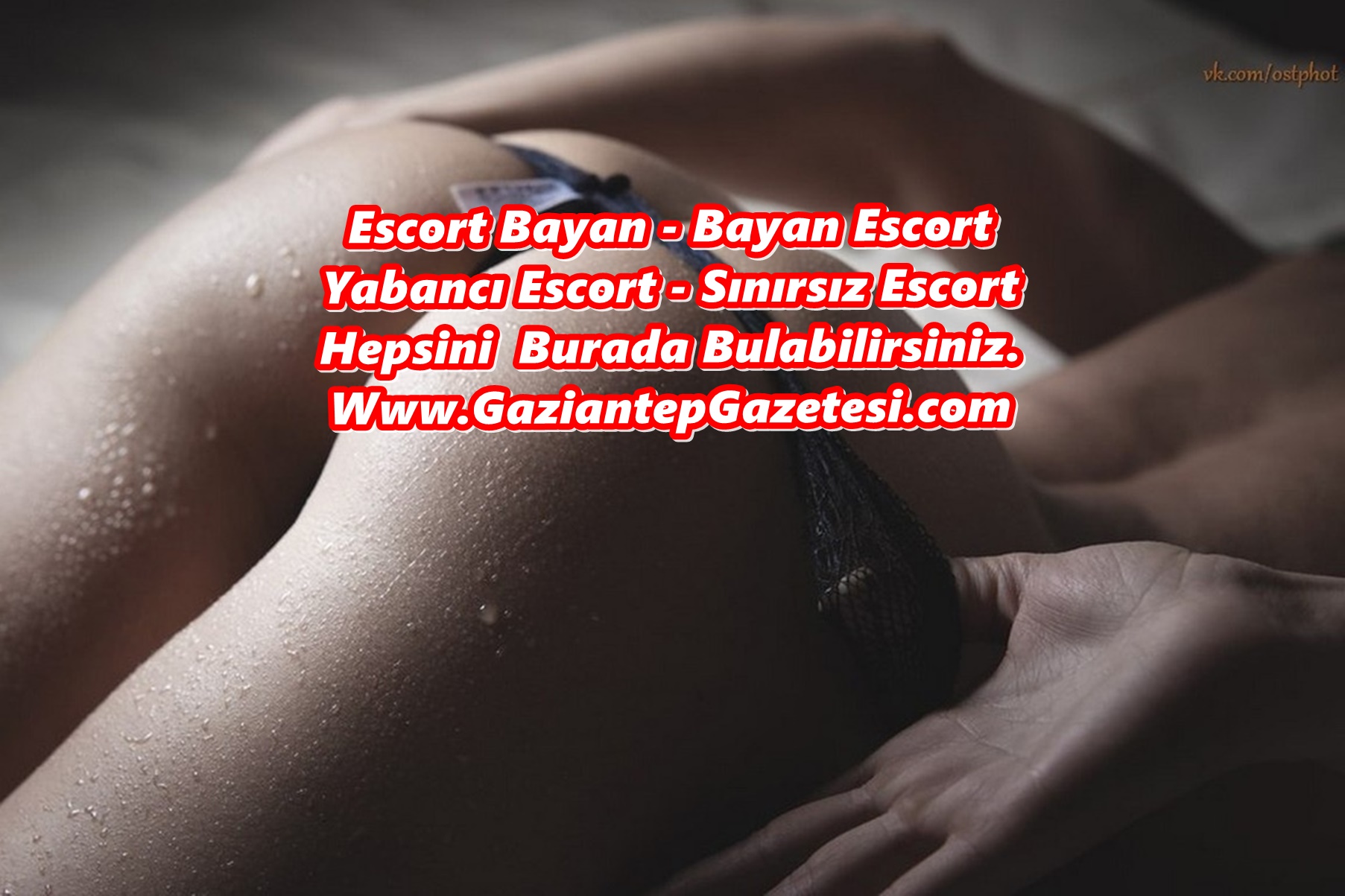 Para İçin Arkadan Veren Gaziantep Escort