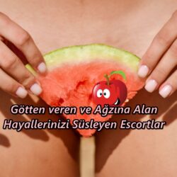 Antep 500 Evler Escort