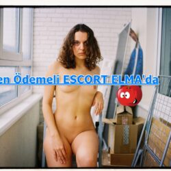 Erkek Arayan Dul Bayanlar